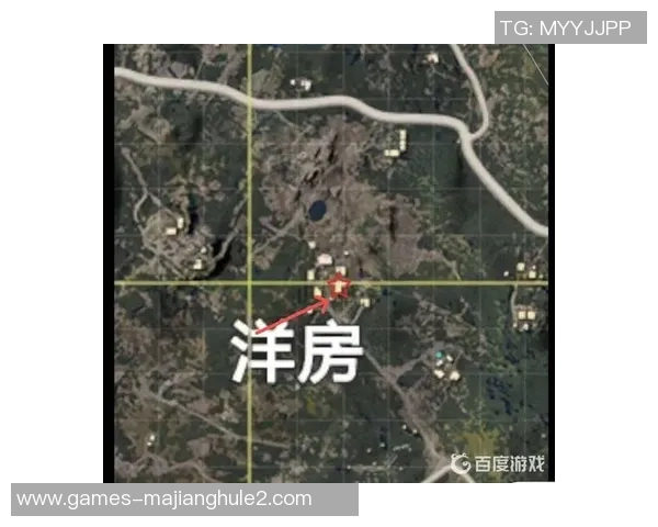 和平精英战术解析BLG进攻策略与团队配合的深度剖析